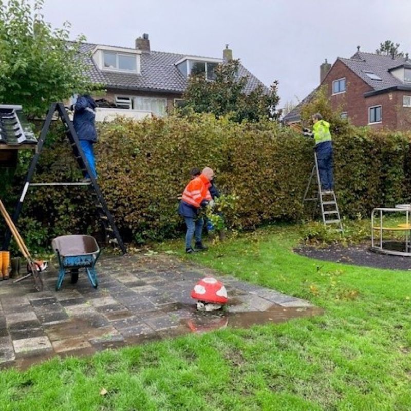 Vrijwilligers werk